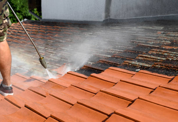 Best Pressure Washing Near Me  in St Augusta, MN