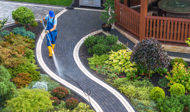 Best Pressure Washing Near Me  in St Augusta, MN