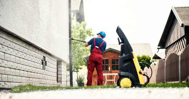 Best Exterior Home Cleaning  in St Augusta, MN